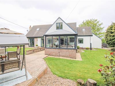 Picture 23